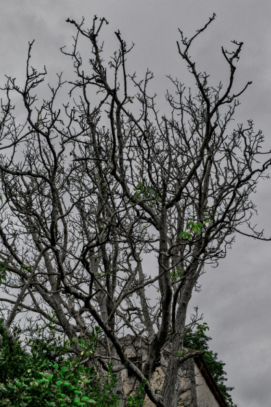 20220719 VACACIONES CANTABRIA ISLA 0011