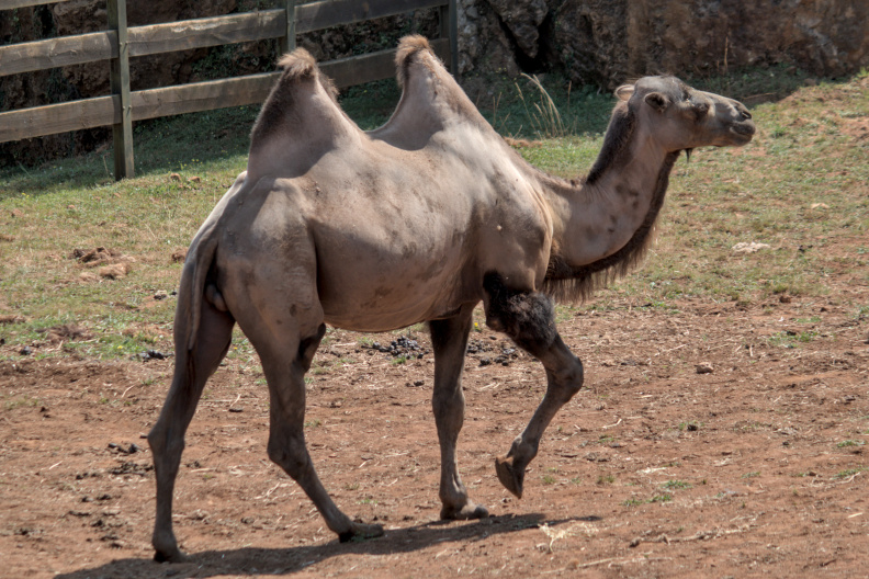 20220721 VACACIONES CANTABRIA CABARCENO 0023