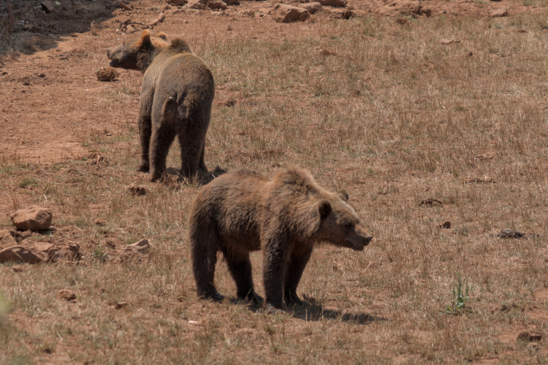 20220721 VACACIONES CANTABRIA CABARCENO 0056