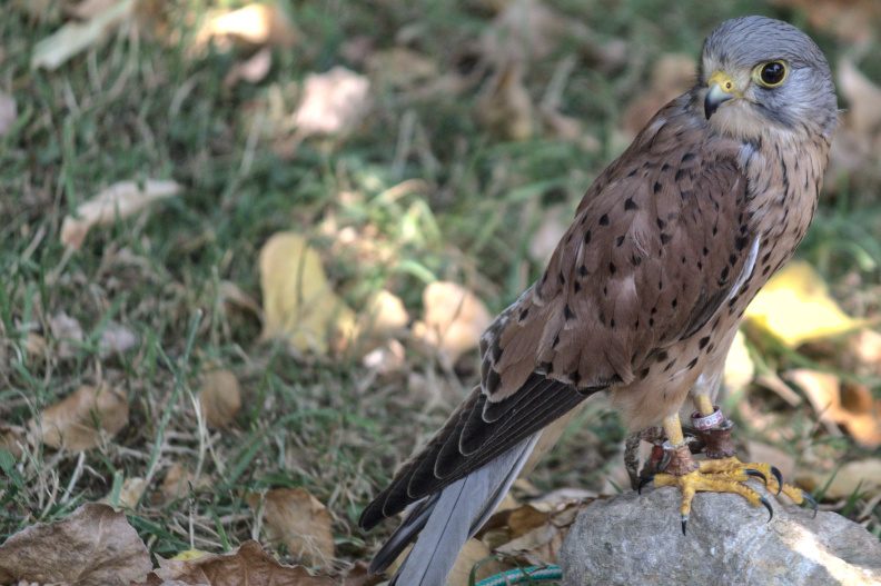 20220721 VACACIONES CANTABRIA CABARCENO 0112