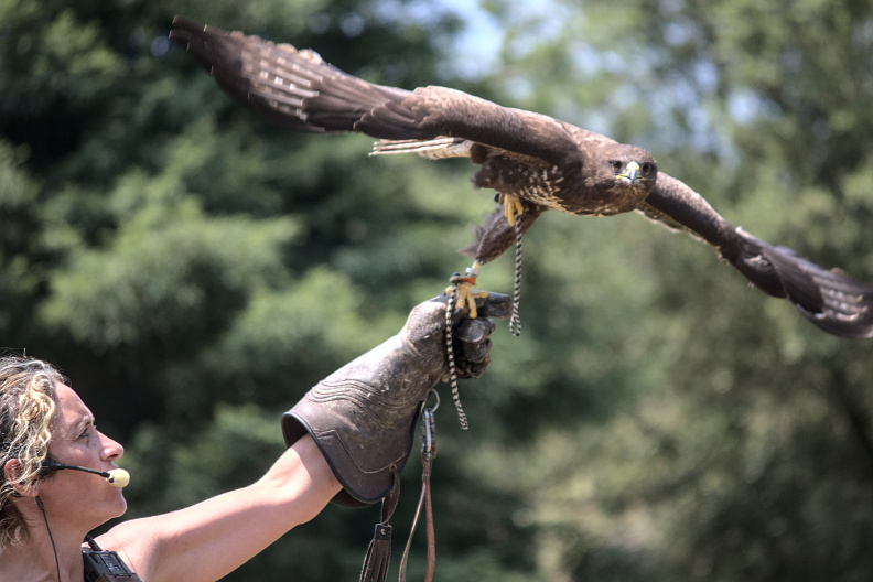 20220721 VACACIONES CANTABRIA CABARCENO 0146