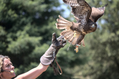 20220721 VACACIONES CANTABRIA CABARCENO 0147