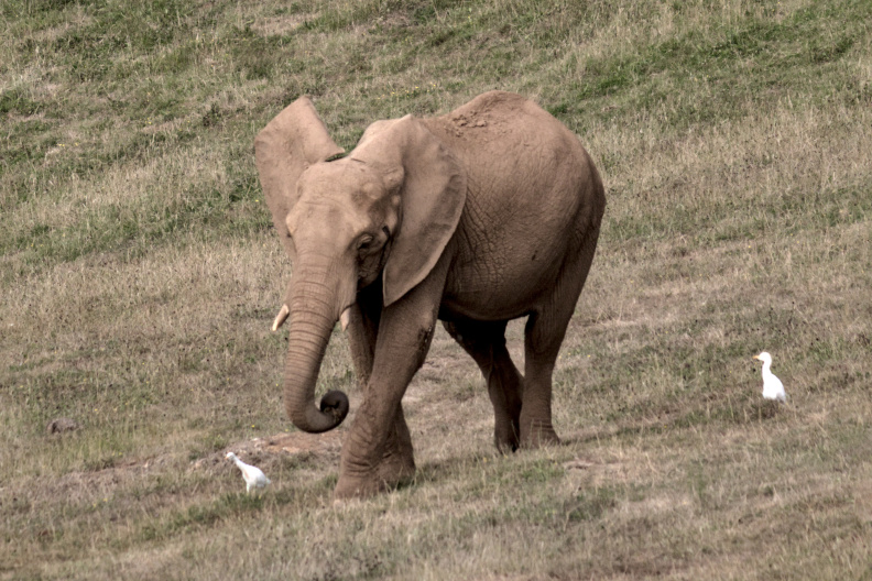 20220721 VACACIONES CANTABRIA CABARCENO 0287