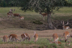 20220721 VACACIONES CANTABRIA CABARCENO 0300