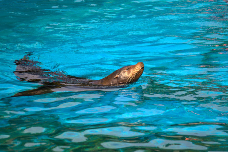 20220721 VACACIONES CANTABRIA CABARCENO 0306