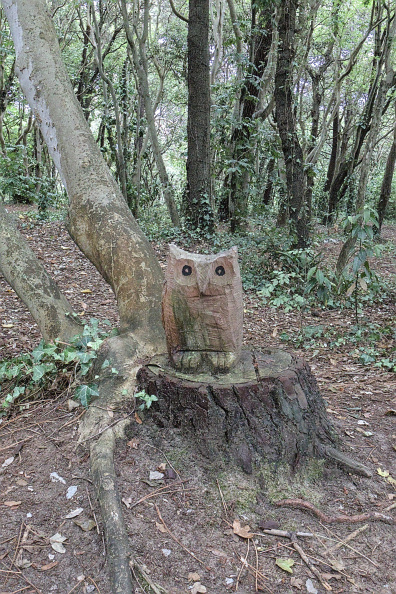 20220722 VACACIONES CANTABRIA SANTANDER 0022