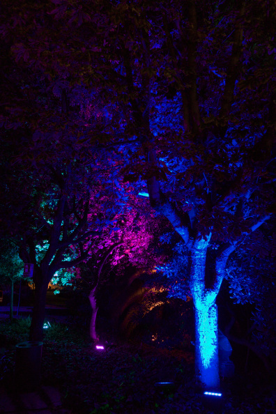 20221126 ELS LLUMS DE SANT PAU 0011