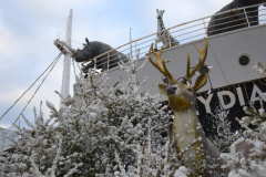 20221209 VILLAGE DE NOEL DE LE BARCARES 0037