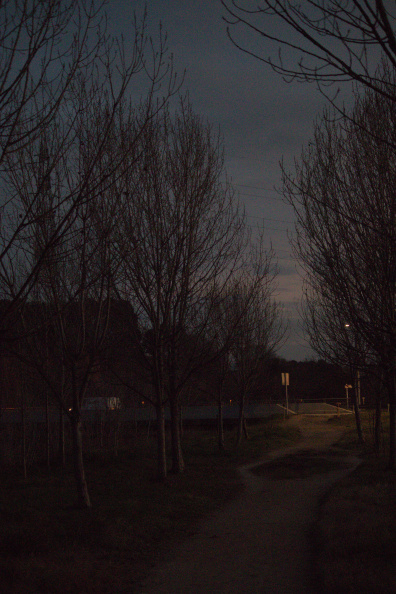 20250119 CAMINATA FALGAR 0024