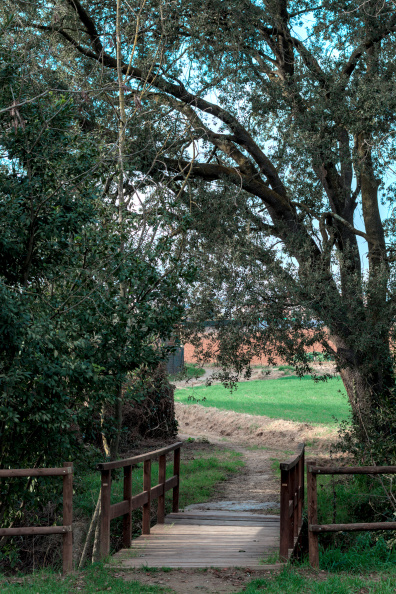 20250202 CAMINATA MILPINS 0030