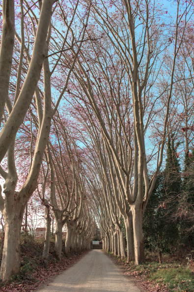 20250202 CAMINATA MILPINS 0042