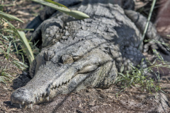20250716 VACACIONES 2025 ALMERIA VALENCIA-OCEANOGRAFIC 0037