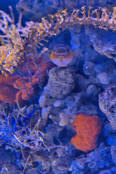 20250716 VACACIONES 2025 ALMERIA VALENCIA-OCEANOGRAFIC 0079