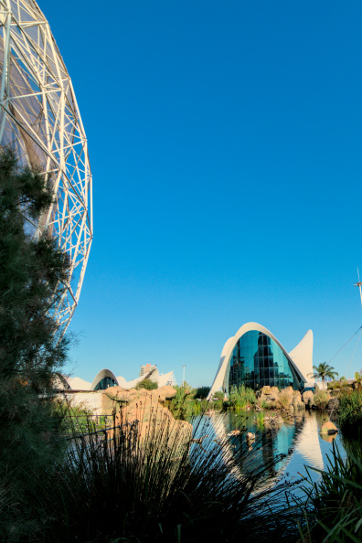 20250716 VACACIONES 2025 ALMERIA VALENCIA-OCEANOGRAFIC 0127