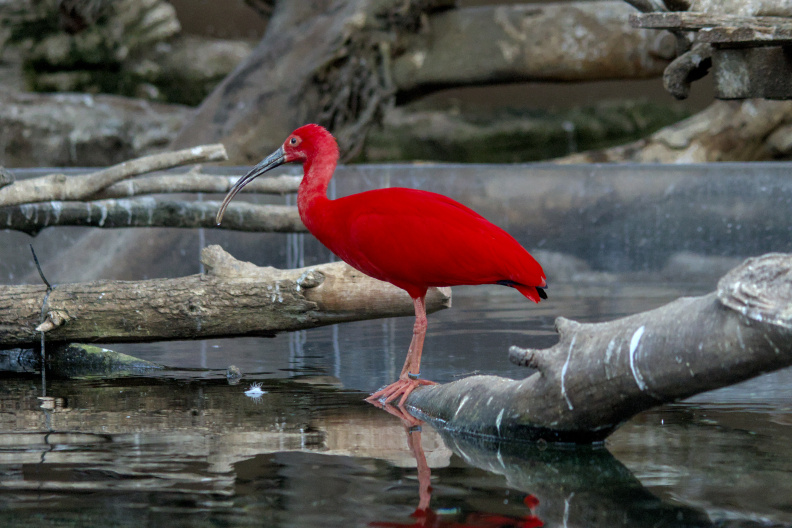 20250716 VACACIONES 2025 ALMERIA VALENCIA-OCEANOGRAFIC 0129