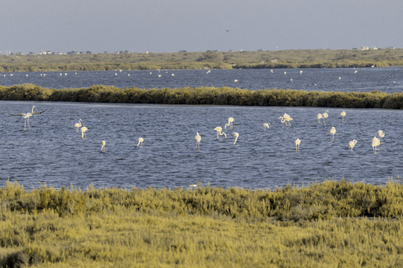 20250720 VACACIONES 2025 ALMERIA 0064